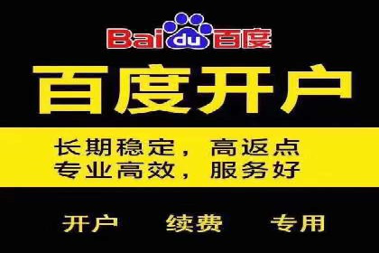 案例研究：如何通过竞价广告实现精准营销